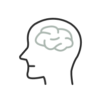 files/cerveau_2x_6a813e73-59c5-4747-9c7a-460498525849.png